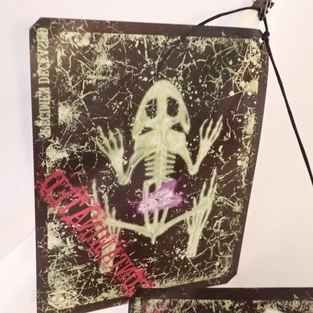 Department56 Halloween X-RAYS/Hanging Banner/Scary/6 X-Rays/70